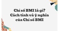 Chỉ số BMI là gì? Cách tính và ý nghĩa của Chỉ số BMI