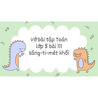 Vở bài tập Toán lớp 5 bài 111 Xăng-ti-mét khối