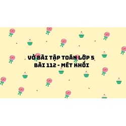 Vở bài tập Toán lớp 5 bài 112 - Mét khối