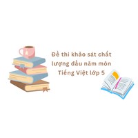 Đề thi khảo sát chất lượng đầu năm môn tiếng việt lớp 5