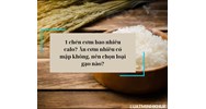 1 chén cơm bao nhiêu calo? Ăn cơm nhiều có mập không, nên chọn loại gạo nào?