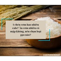 1 chén cơm bao nhiêu calo? Ăn cơm nhiều có mập không, nên chọn loại gạo nào?