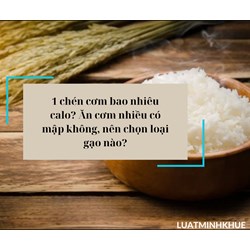 1 chén cơm bao nhiêu calo? Ăn cơm nhiều có mập không, nên chọn loại gạo nào?
