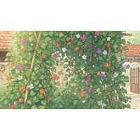 Bài văn Tả giàn cây leo chọn lọc hay nhất Tập làm văn lớp 5