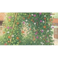 Bài văn Tả giàn cây leo chọn lọc hay nhất Tập làm văn lớp 5