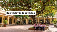 Dàn ý bài văn tả cây bàng lớp 4 dầy đủ, chi tiết nhất
