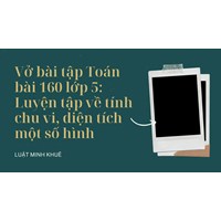 Vở bài tập Toán bài 160 lớp 5: Luyện tập về tính chu vi, diện tích một số hình