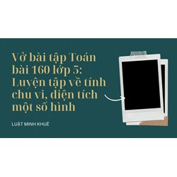 Vở bài tập Toán bài 160 lớp 5: Luyện tập về tính chu vi, diện tích một số hình