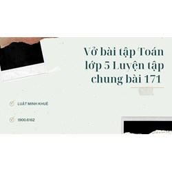 Vở bài tập Toán lớp 5 Luyện tập chung bài 171