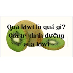 Quả kiwi là quả gì? Giá trị dinh dưỡng của kiwi