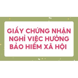 Giấy chứng nhận nghỉ việc hưởng bảo hiểm xã hội