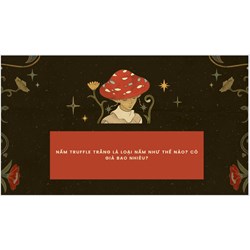 Nấm Truffle trắng là loại nấm như thế nào? Có giá bao nhiêu?