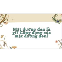 Mật đường đen là gì? Công dụng của mật đường đen?