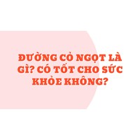 Đường cỏ ngọt là gì? Có tốt cho sức khỏe không?