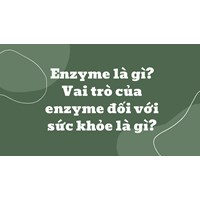 Enzyme là gì? Vai trò của enzyme đối với sức khỏe là gì?