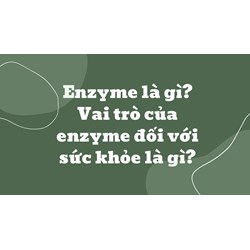 Enzyme là gì? Vai trò của enzyme đối với sức khỏe là gì?