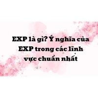 EXP là gì? Ý nghĩa của EXP trong các lĩnh vực chuẩn nhất