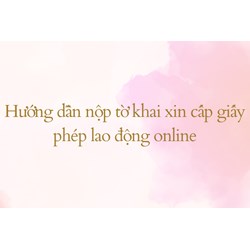 Hướng dẫn nộp tờ khai xin cấp giấy phép lao động online