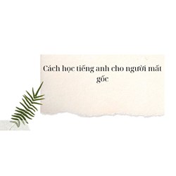 Cách học tiếng anh cho người mất gốc