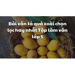 Bài văn tả quả xoài chọn lọc hay nhất Tập làm văn lớp 5