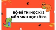 Bộ đề thi học kì 2 môn Sinh học lớp 8