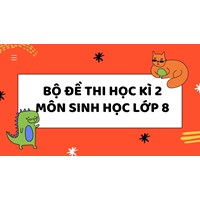 Bộ đề thi học kì 2 môn Sinh học lớp 8