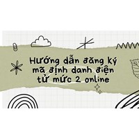 Hướng dẫn đăng ký mã định danh điện tử mức 2 online