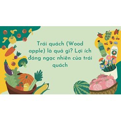 Trái quách (Wood apple) là quả gì? Lợi ích đáng ngạc nhiên của trái quách