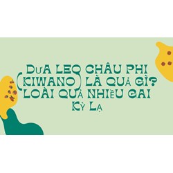 Dưa leo Châu Phi (Kiwano) là quả gì? Loài quả nhiều gai kỳ lạ