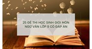 25 đề thi học sinh giỏi môn Ngữ văn lớp 9 có đáp án