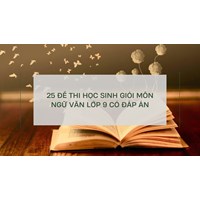 25 đề thi học sinh giỏi môn Ngữ văn lớp 9 có đáp án
