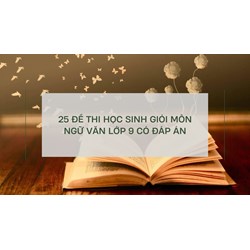 25 đề thi học sinh giỏi môn Ngữ văn lớp 9 có đáp án