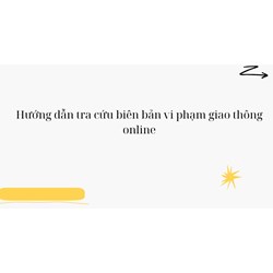 Hướng dẫn tra cứu biên bản vi phạm giao thông online