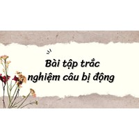 Bài tập trắc nghiệm câu bị động