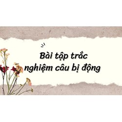 Bài tập trắc nghiệm câu bị động