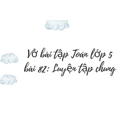 Vở bài tập Toán lớp 5 bài 82: Luyện tập chung