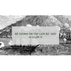 Đề cương ôn tập Lịch sử  học kì 2 lớp 11