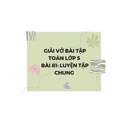Giải vở bài tập Toán 5 bài 81 - Luyện tập chung