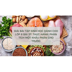 Giải bài tập Sinh học dành cho lớp 8 bài 37: Thực hành: Phân tích một khẩu phần cho trước
