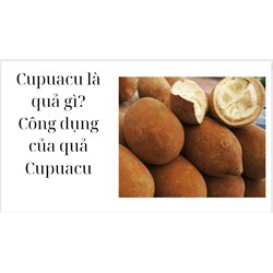 Cupuacu là quả gì? Công dụng của quả Cupuacu