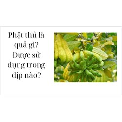 Phật thủ là quả gì? Được sử dụng trong dịp nào?