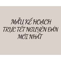 Mẫu Kế hoạch trực Tết nguyên đán mới nhất năm 2024