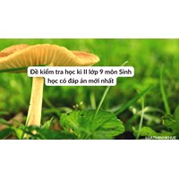 Đề kiểm tra học kì II lớp 9 môn Sinh học có đáp án mới nhất