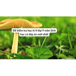 Đề kiểm tra học kì II lớp 9 môn Sinh học có đáp án mới nhất