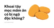 Khoai tây mọc mầm ăn có bị ngộ độc không?