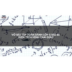 Vở bài tập Toán dành lớp 5 bài 86 Diện tích hình tam giác