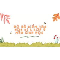 Bộ đề kiểm tra học kì 1 lớp 9 môn Sinh học