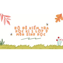 Bộ đề kiểm tra học kì 1 lớp 9 môn Sinh học