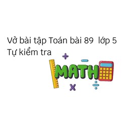 Vở bài tập Toán bài 89  lớp 5 Tự kiểm tra
