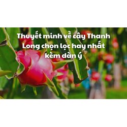 Thuyết minh về cây Thanh Long chọn lọc hay nhất kèm dàn ý